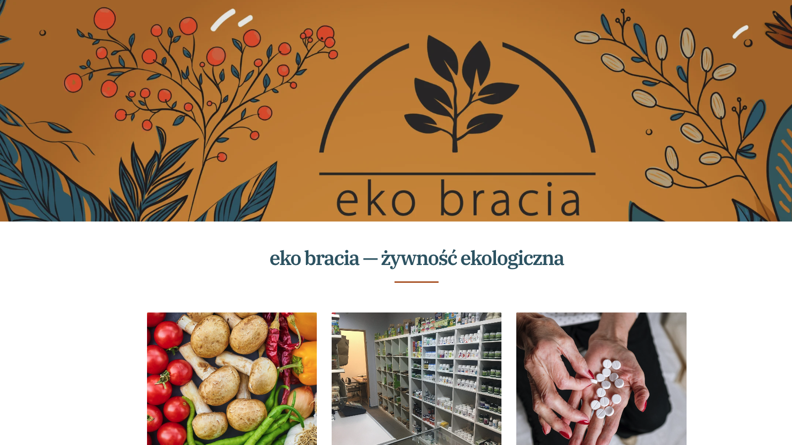 Podgląd strony Ekobracia